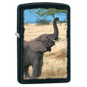 ZIPPO Elefánt