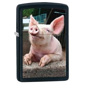 ZIPPO Pig Dreaming